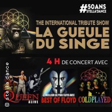QUEEN ALIVE - BESTOF FLOYD - COLDPLAYED