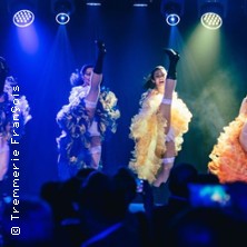 Ty Cabaret Go&ucirc;ter spectacle