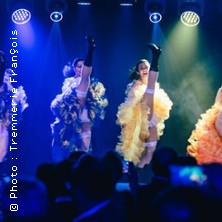 Ty cabaret d&icirc;ner spectacle