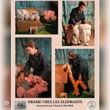 Drame chez les &eacute;l&eacute;phants