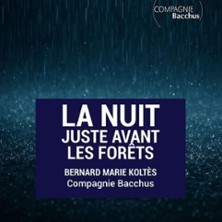 LA NUIT JUSTE AVANT LES FORETS