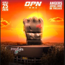 One Punch Night - 1&egrave;re Edition