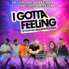 I Gotta Feeling - La Tourn&eacute;e des Ann&eacute;es 2000