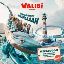 Walibi Belgium - Billet Libert&eacute; - Haute Saison
