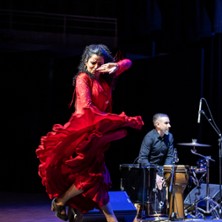 Ana Crisman, Arpa Flamenca