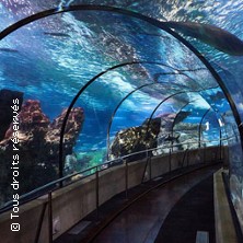Aquarium de Barcelone