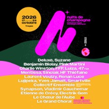 Benjamin Biolay - Festival Nuits de Champagne