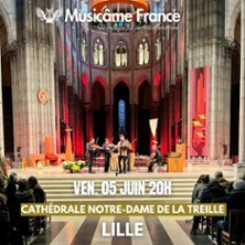 Concert &agrave; Lille: Rossini, Vivaldi, Tchaikovsky, Taffanel, Bizet, Aznavour