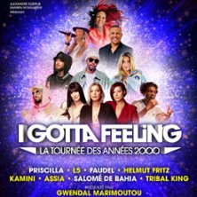 I Gotta Feeling - La Tourn&eacute;e des Ann&eacute;es 2000