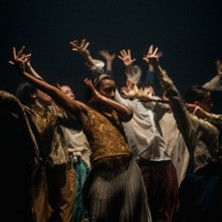 Shechter II - IN THE BRAIN - Festival Cadences
