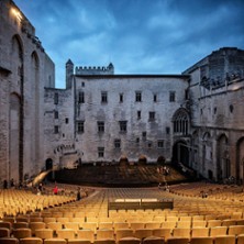 Oiseau - Festival d'Avignon