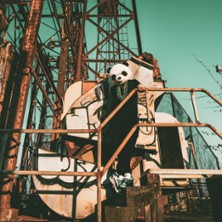 Amaury Faye Nola Quartet - Rust