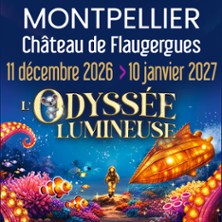 L'Odyss&eacute;e Lumineuse Montpellier - Billet dat&eacute;