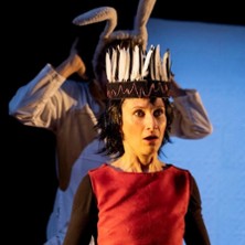 LE JOUR DU COQUELICOT COMPAGNIE HISTOIRE DE