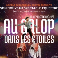 Au Galop dans les Etoiles - Spectacle Equestre de No&euml;l