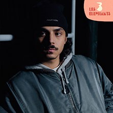 NeS - Festival Les 3 &eacute;l&eacute;phants