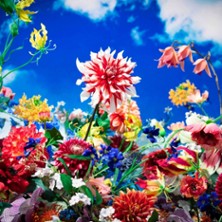 Mika Ninagawa with EIM - Billet Simple