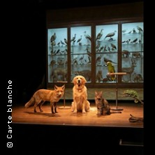 The Animal Room - Ath&eacute;n&eacute;e - Th&eacute;&acirc;tre Louis-Jouvet, Paris