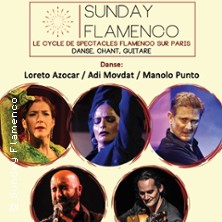Sunday Flamenco - Le Cycle de Flamenco