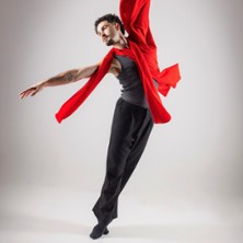 Les 4 Saisons, Le Ballet - Cie Choryph&eacute;e