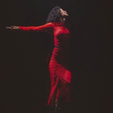 Barbara Pravi, Dalida Diva Tzigane