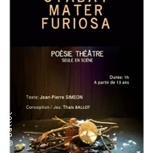 Stabat Mater Furiosa