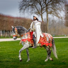 Spectacle Chevaux + Entr&eacute;e