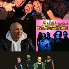 Festival des Zicophonies - Pass 2 Jours