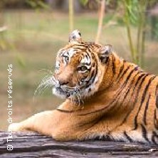 SAFARI DE PEAUGRES PEAUGRES PEAUGRES