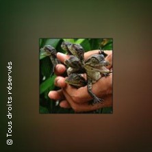 LA FERME AUX CROCODILES PIERRELATTE