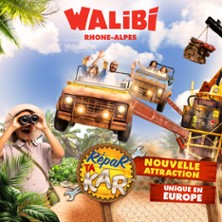 Walibi Rh&ocirc;ne-Alpes - Billet Libert&eacute;
