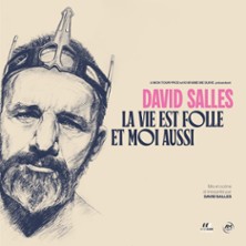 DAVID SALLES La Vie est Folle et Moi Aussi
