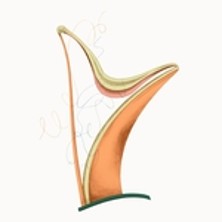 LAURENCE KILSBY & ELLA O?NEILL Les Lundis Musicaux