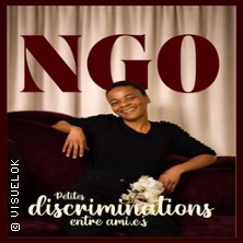 Ngo - Petites Discriminations Entre Ami(e)s - Le Lieu, Paris