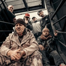 Svinkels - Family & Friends