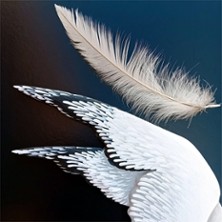 La Mouette - Anton Tchekhov - Le Carr&eacute; Rond, Marseille