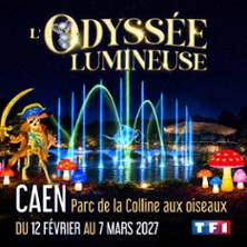 L'Odyss&eacute;e Lumineuse Caen - Billet Dat&eacute;