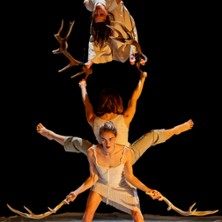 Faune - Th&eacute;&acirc;tre de la Cit&eacute; Internationale - Paris