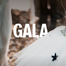 GALA DES ECOLES DE DANSE