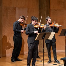 CONCERTOS BRANDEBOURGEOIS Au Coeur du Baroque