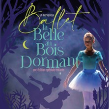 UNE EDITION SP&Eacute;CIALE ENFANTS : La Belle au Bois Dormant