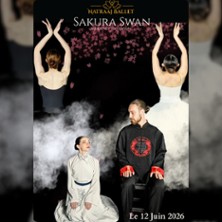 Sakura Swan