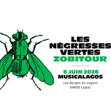 Festival Musicalagos #20 - Pass 1 Jour Samedi