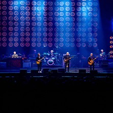 The Analogues