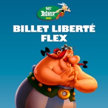 Parc Ast&eacute;rix - Billet Libert&eacute; Flex
